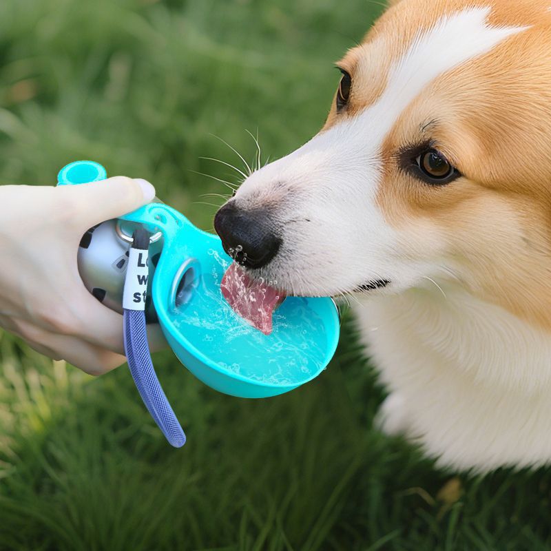 Stainless Steel Pet Water Bottle | On-the-Go Hydration for Dogs