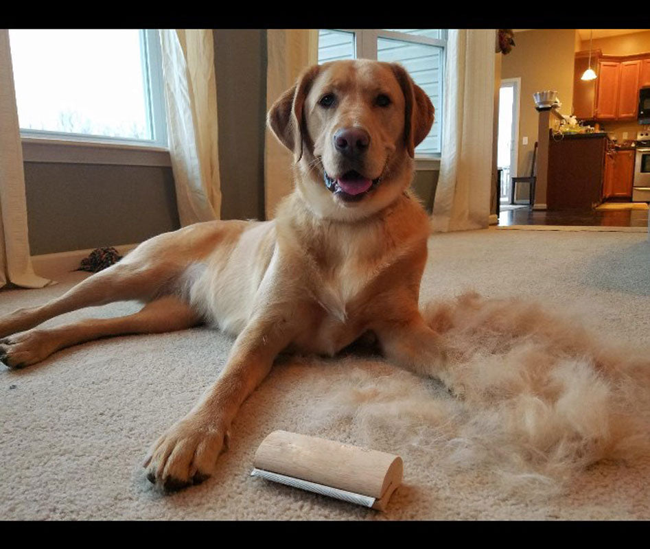 Wood Groom Brush | Professional Pet Deshedding Grooming Tool