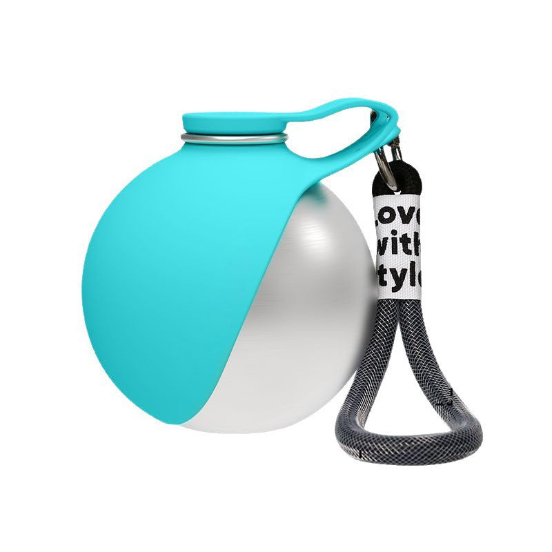 Stainless Steel Pet Water Bottle | On-the-Go Hydration for Dogs