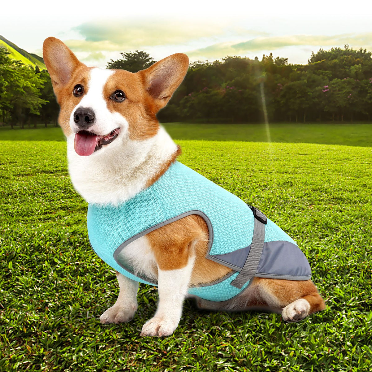 Dog Cooling Vest Summer Pet Cooling Shirt - Breathable Heat Relief Clothing for Dogs