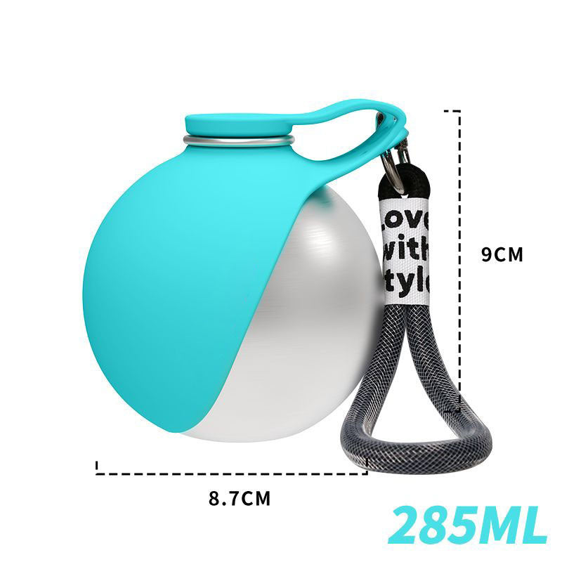 Stainless Steel Pet Water Bottle | On-the-Go Hydration for Dogs